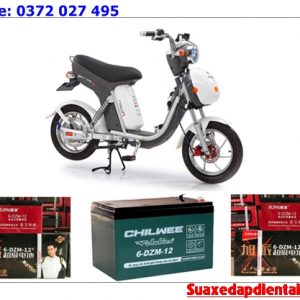 ắc quy xe đạp điện nijia