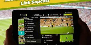 Sopcast là gì? Chi tiết cách sử dụng Sopcast xem bóng đá