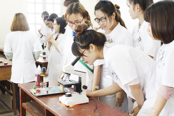 Học phí Trường Đại học Y Dược – Đại học Huế mới nhất 2022 - 2023 - JobTest