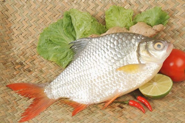 Nằm mơ thấy cá trê là điềm báo gì? Đây là môn gì? -3 Nằm mơ thấy cá mè điềm báo gì? Đánh đề con gì? - Casino Đổi Thưởng